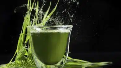 Health Benefits of Barley Grass Juice