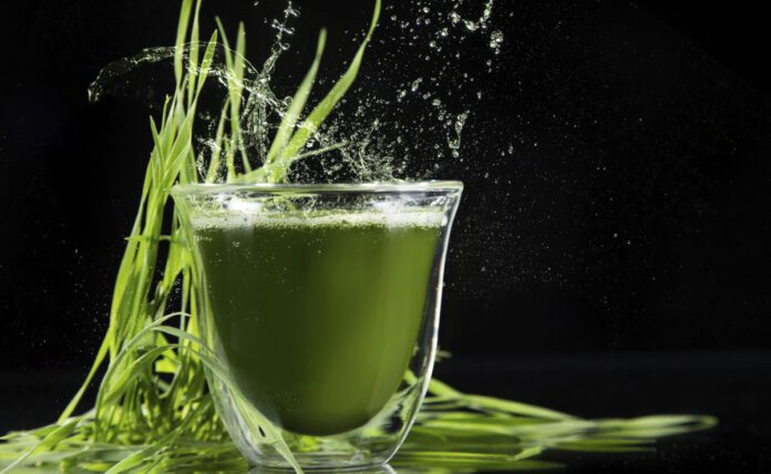 Health Benefits of Barley Grass Juice