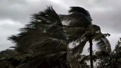 Cyclone Mocha wreaks havoc in Myanmar