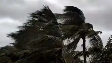 Cyclone Mocha wreaks havoc in Myanmar