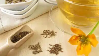 Fennel-Celery Tea for Gut Health