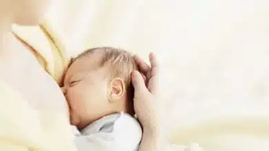 foods to increase breast milk