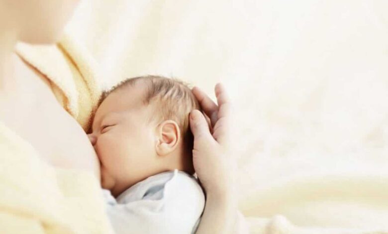 foods to increase breast milk
