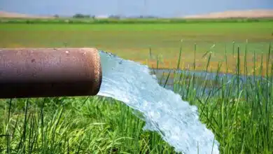 Important things related to groundwater