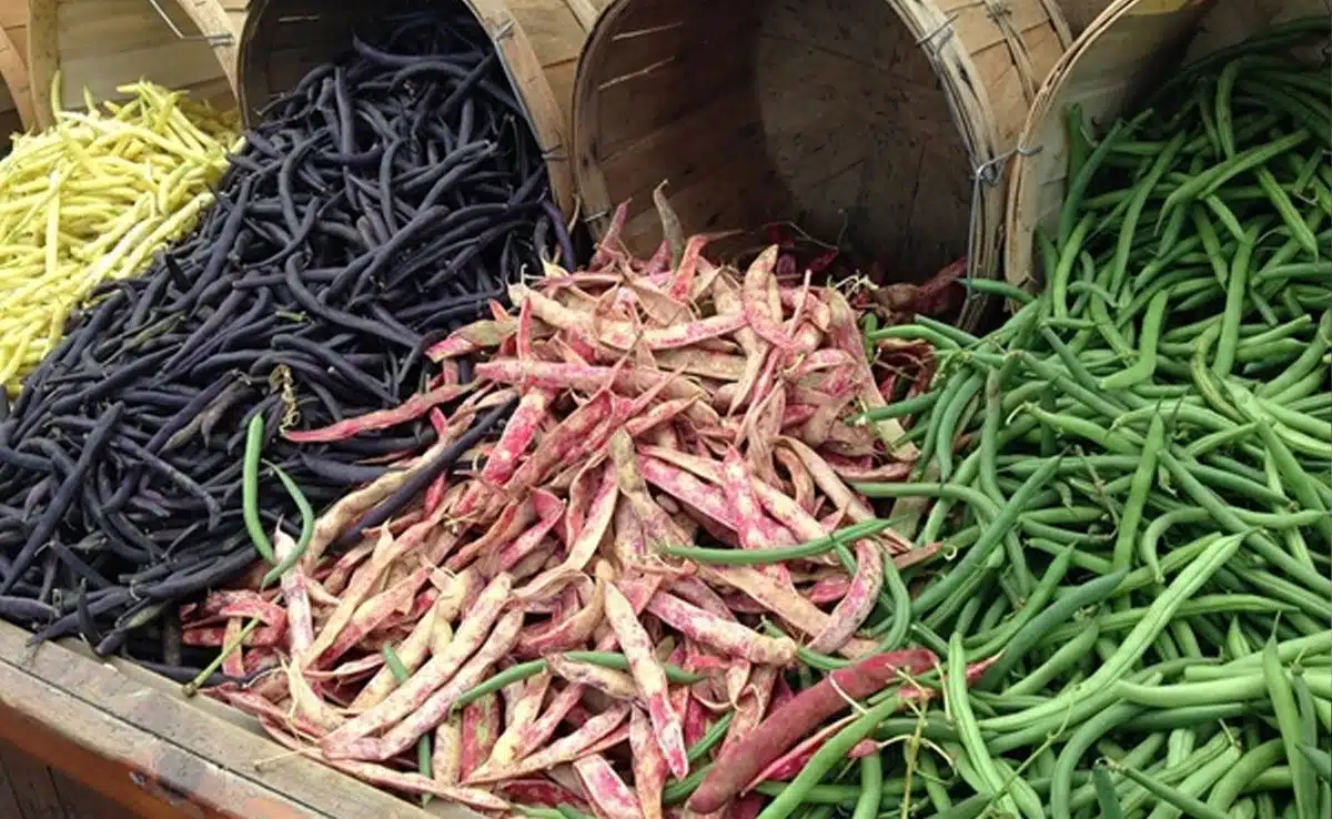 Worst Foods for Bloating, Best Foods