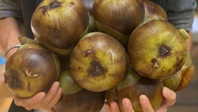 Many benefits of eating Tadgola during summer