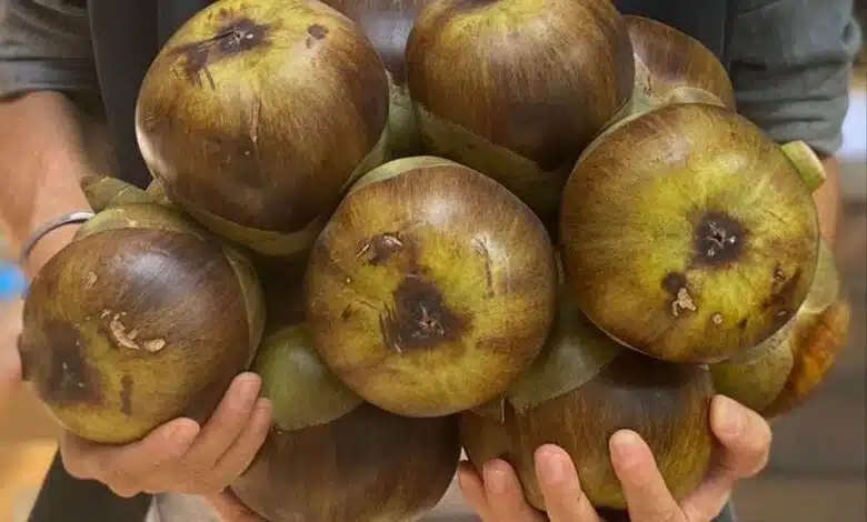 Many benefits of eating Tadgola during summer