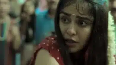 The Kerala Story Box Office Collection Day 14