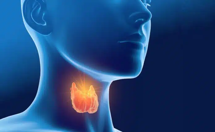 Herbs to Promote Thyroid Health