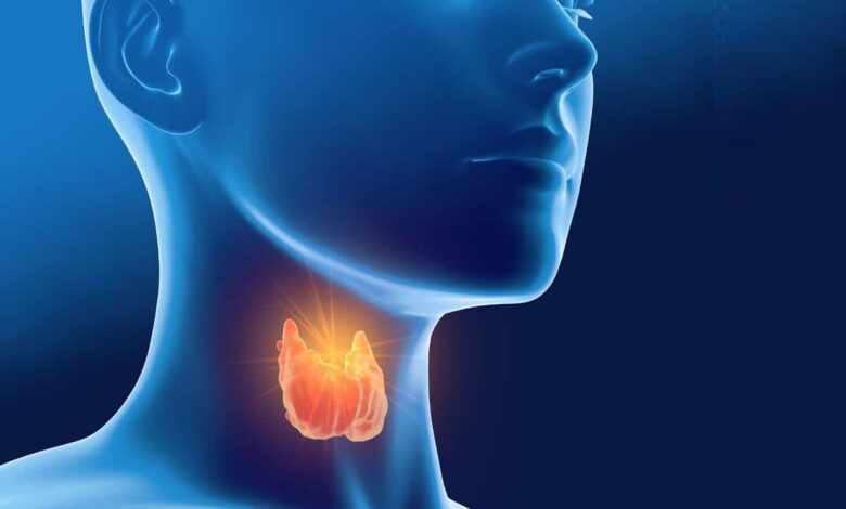 Herbs to Promote Thyroid Health