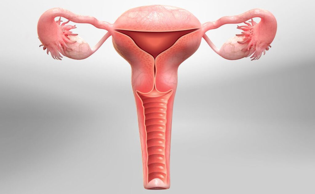 You Should Know About Hysterectomy Surgery