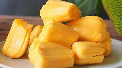 Is jackfruit good for high blood pressure patients?