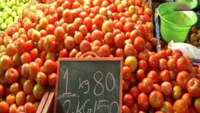 Tomato prices rise due to heat and heavy rains in growing areas
