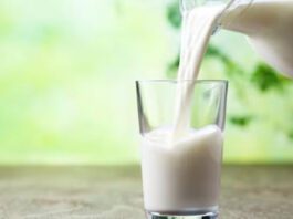 World Milk Day 2023: Importance and health benefits