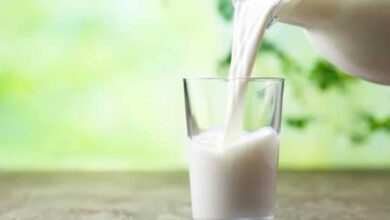World Milk Day 2023: Importance and health benefits