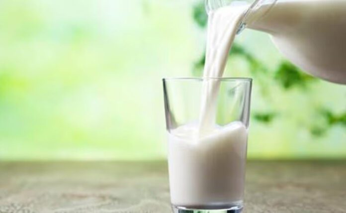 World Milk Day 2023: Importance and health benefits