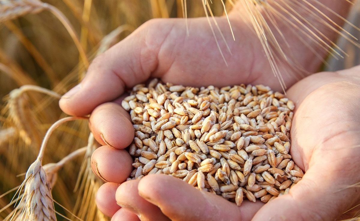 fortified foods Symptoms of Omega-3 deficiency in the body