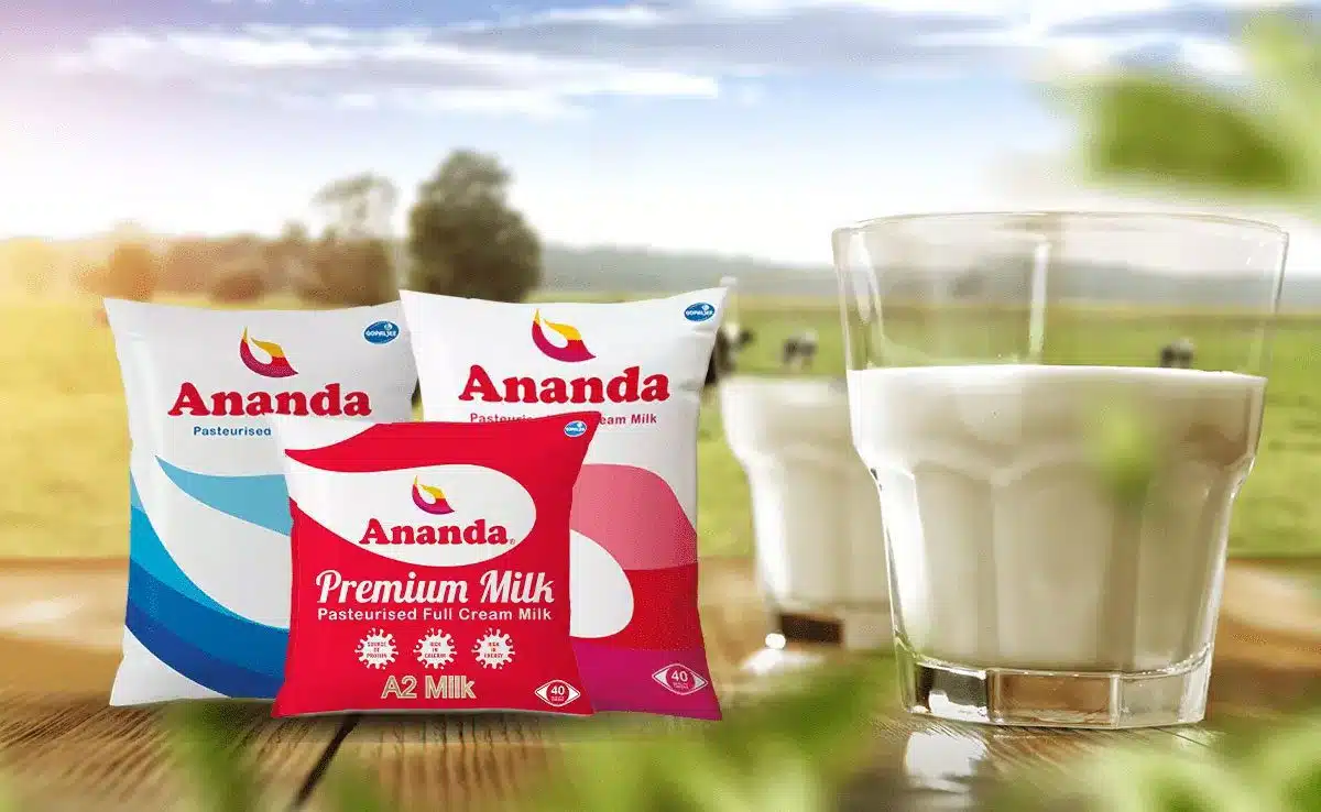 milk World Milk Day 2023: Importance and health benefits