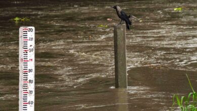 High alert in Delhi, Yamuna above danger mark