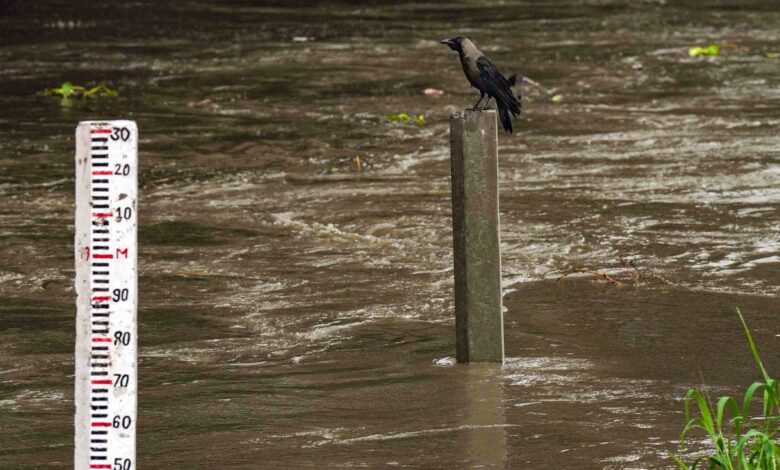 High alert in Delhi, Yamuna above danger mark
