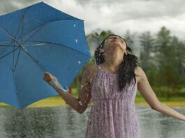 6 Must-Have Herbs To Improve Your Health During Monsoon