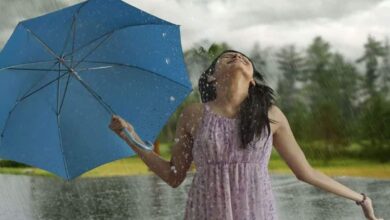 6 Must-Have Herbs To Improve Your Health During Monsoon