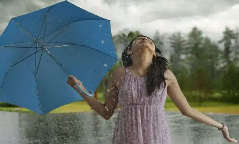 6 Must-Have Herbs To Improve Your Health During Monsoon