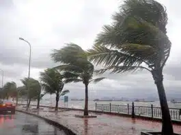 Typhoon 'Doksuri' blew off roofs of houses in Philippines, thousands of people were displaced