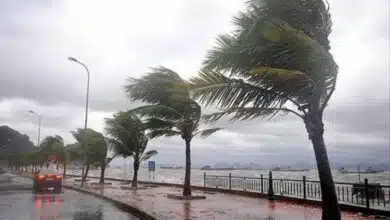 Typhoon 'Doksuri' blew off roofs of houses in Philippines, thousands of people were displaced