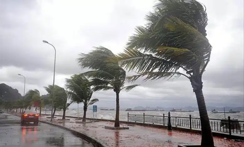 Typhoon 'Doksuri' blew off roofs of houses in Philippines, thousands of people were displaced