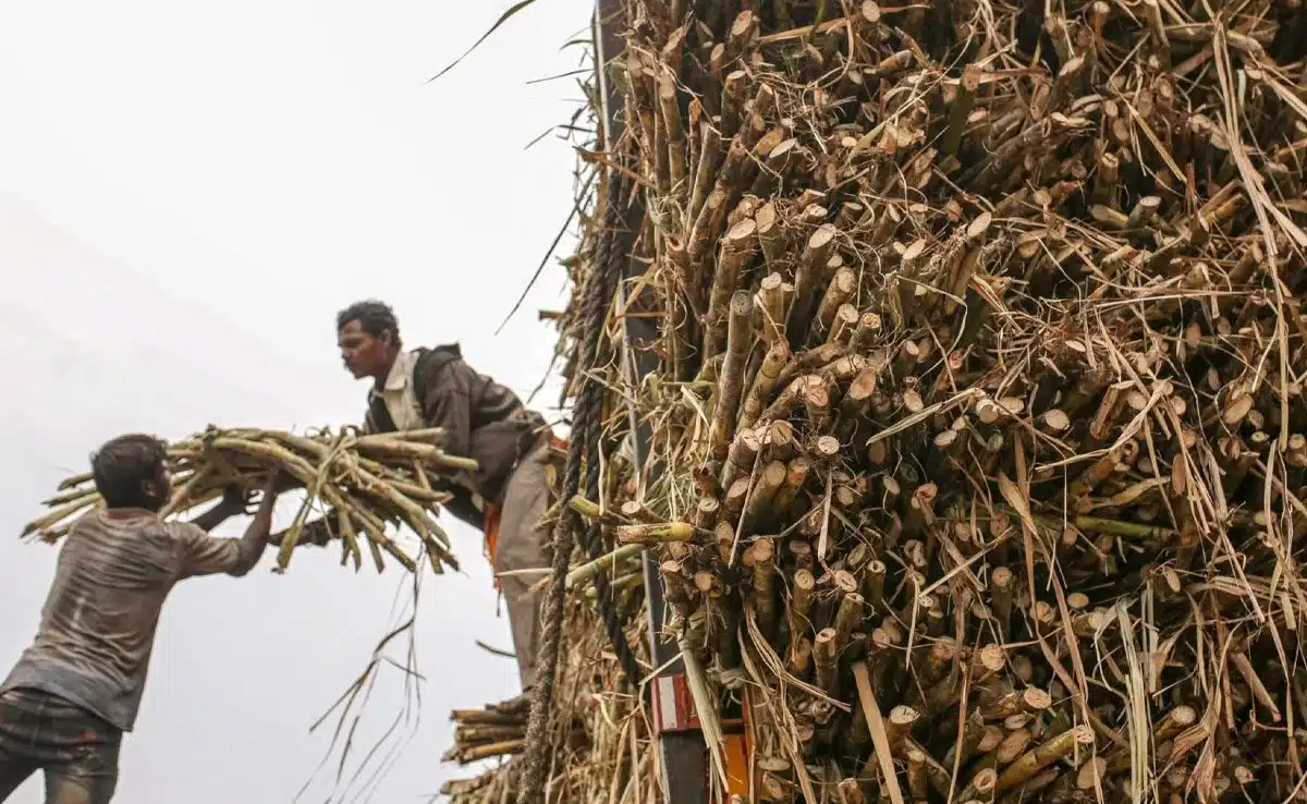 Food Ministers to Hold National Conference in delhi