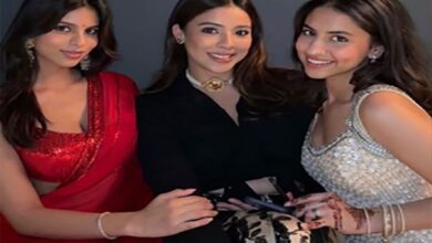Suhana Khan looked very beautiful in red saree and bindi