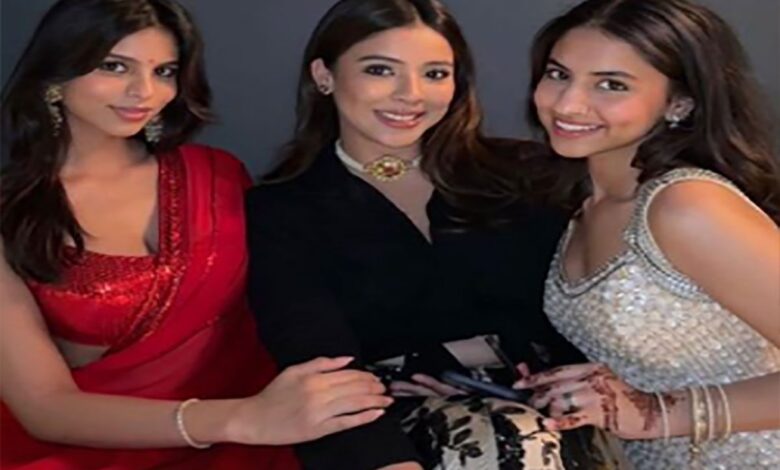 Suhana Khan looked very beautiful in red saree and bindi