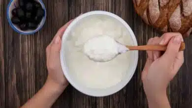 Why should we avoid curd in monsoon? know the reason