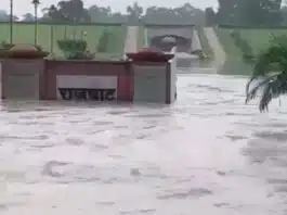 Raj Ghat drowned in delhi flood, crack near SC
