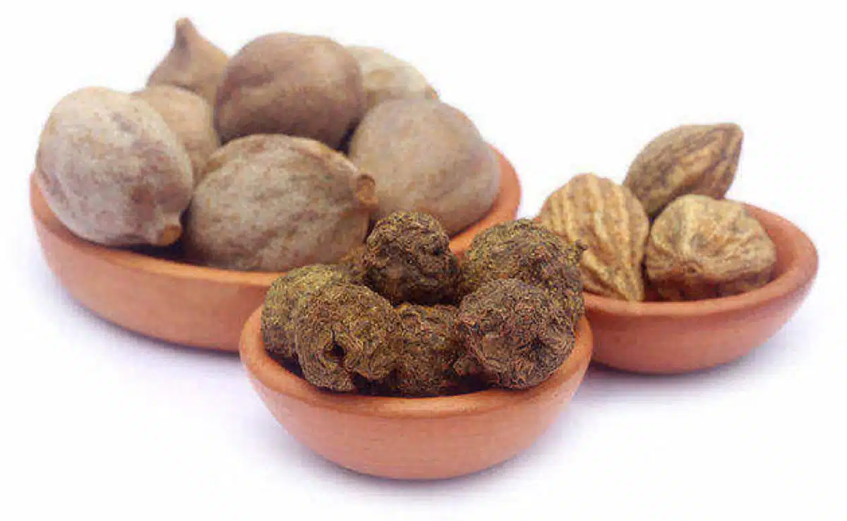 6 Must-Have Herbs To Improve Your Health During Monsoon