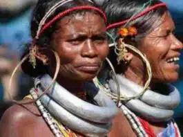 Minister said, UCC will have no effect on tribals