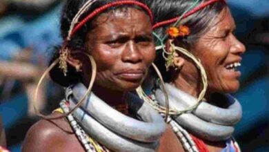 Minister said, UCC will have no effect on tribals