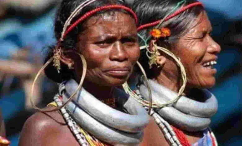 Minister said, UCC will have no effect on tribals