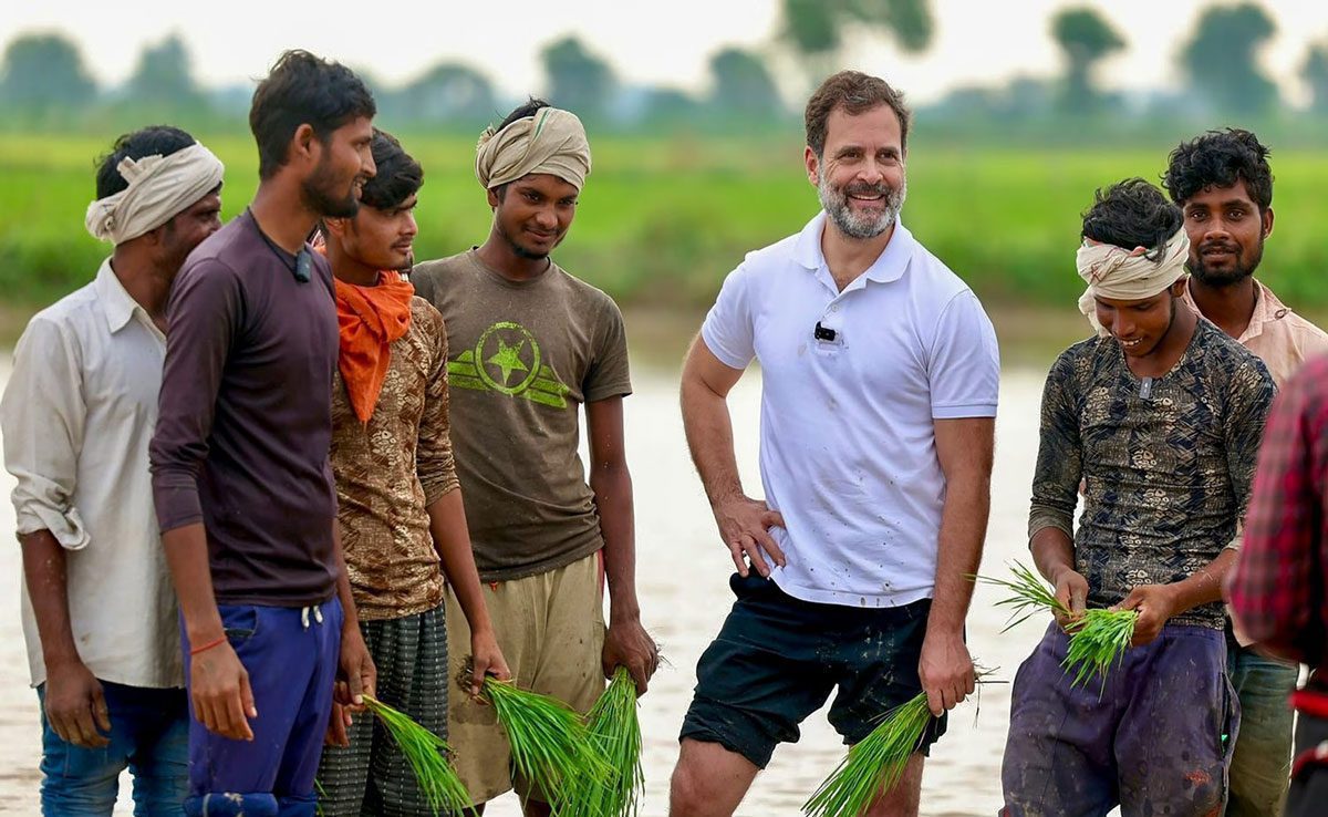 Rahul Gandhi Visits
Delhi: Rahul Gandhi visits Azadpur mandi amid rising prices of vegetables