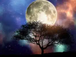 Adhik Maas Amavasya 2023: Date, Time, Rituals and Significance