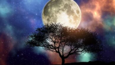 Adhik Maas Amavasya 2023: Date, Time, Rituals and Significance