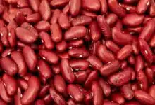 benefits of rajma for weight loss