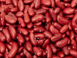 benefits of rajma for weight loss