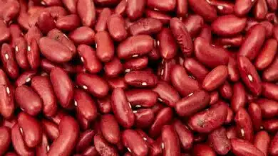 benefits of rajma for weight loss