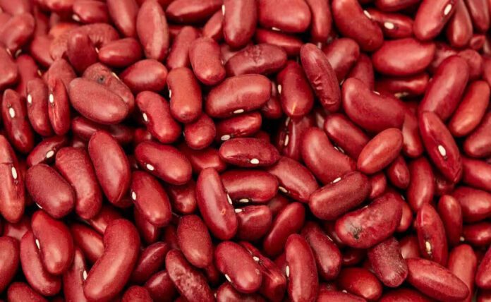 benefits of rajma for weight loss