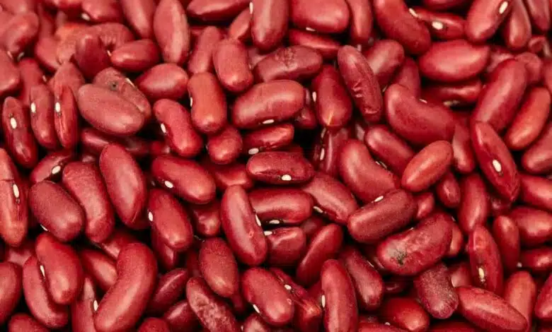 benefits of rajma for weight loss