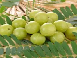 4 side effects of eating too much Amla