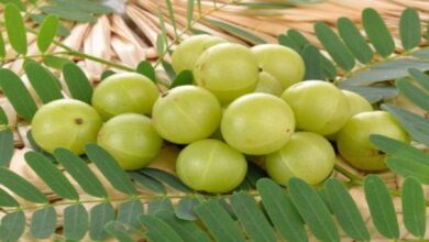 4 side effects of eating too much Amla