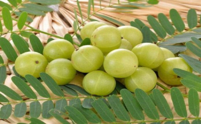 4 side effects of eating too much Amla